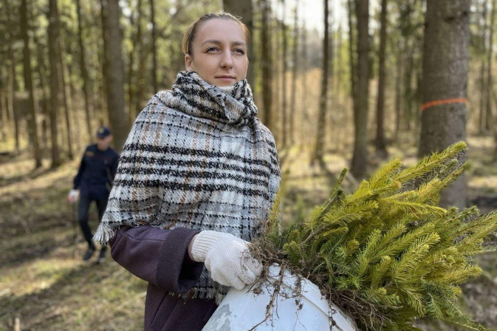 Более 500 саженцев елей и 2 тысячи сосен высадили работники Минского РУВД во время «Недели леса»