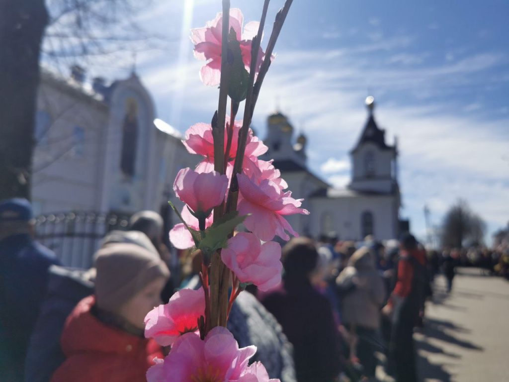 Как православные христиане праздновали Вербное воскресенье — репортаж из храмов Вилейки