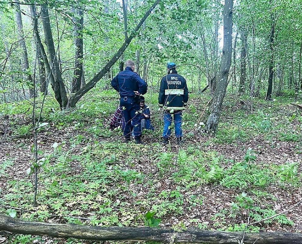 В мае — за грибами. Спасатели МЧС в лесу Солигорского района нашли пропавшего 67-летнего грибника