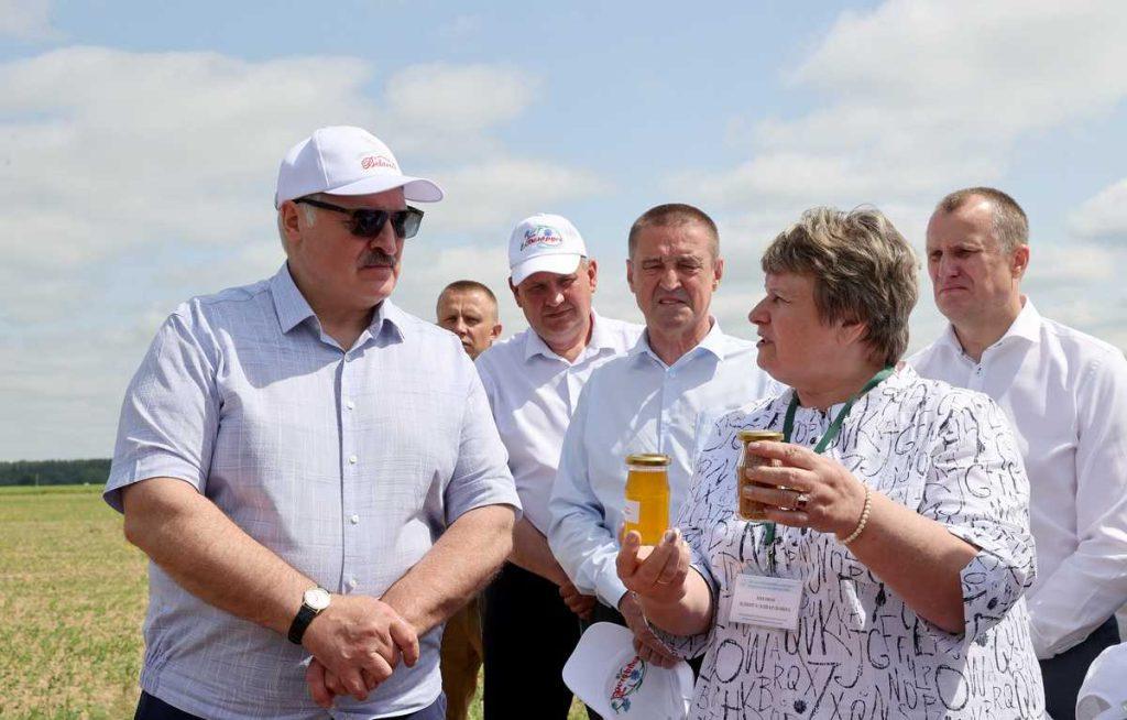 «Рапс − это деньги для крестьян». Лукашенко посещает Могилевскую область