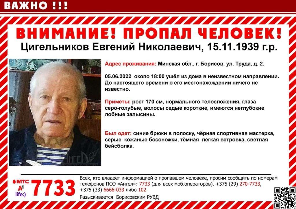 Поссорился с женой, ушел в лес и пропал — в Борисове вторые сутки ищут 82-летнего пенсионера