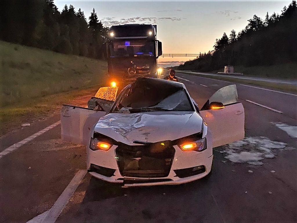 Лось стал причиной гибели 33-летней пассажирки «Ауди» под Логойском – машина ночью сбила животное