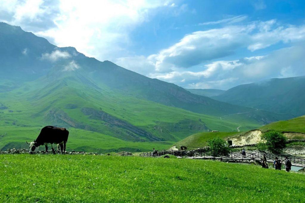 Отдых в Азербайджане