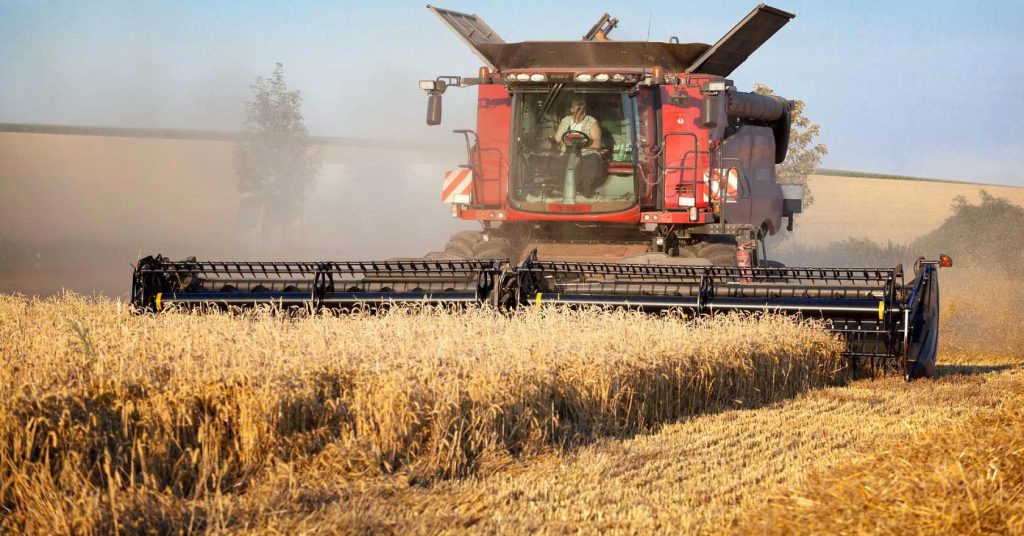 В Беларуси началась массовая уборка зерновых