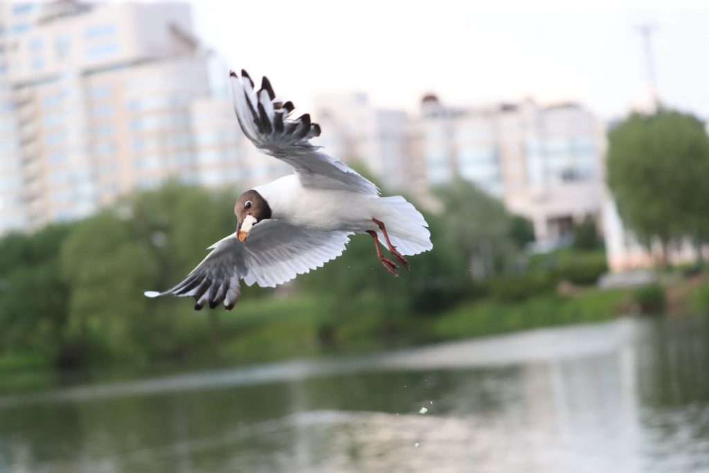 погода в Беларуси