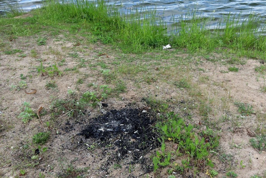 Обгорел на берегу реки — возле деревни Чемки Логойского района получил ожоги 61-летний мужчина