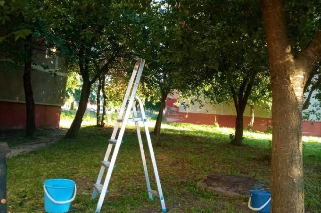 сад лесенка