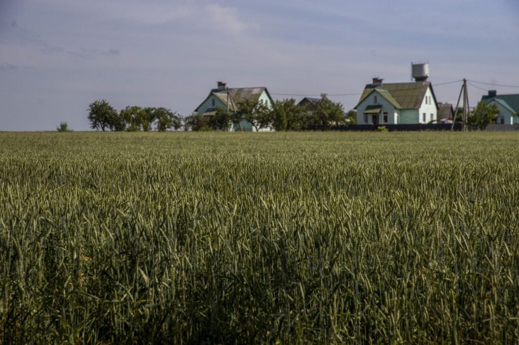 ФОТО ДНЯ: утро в деревне