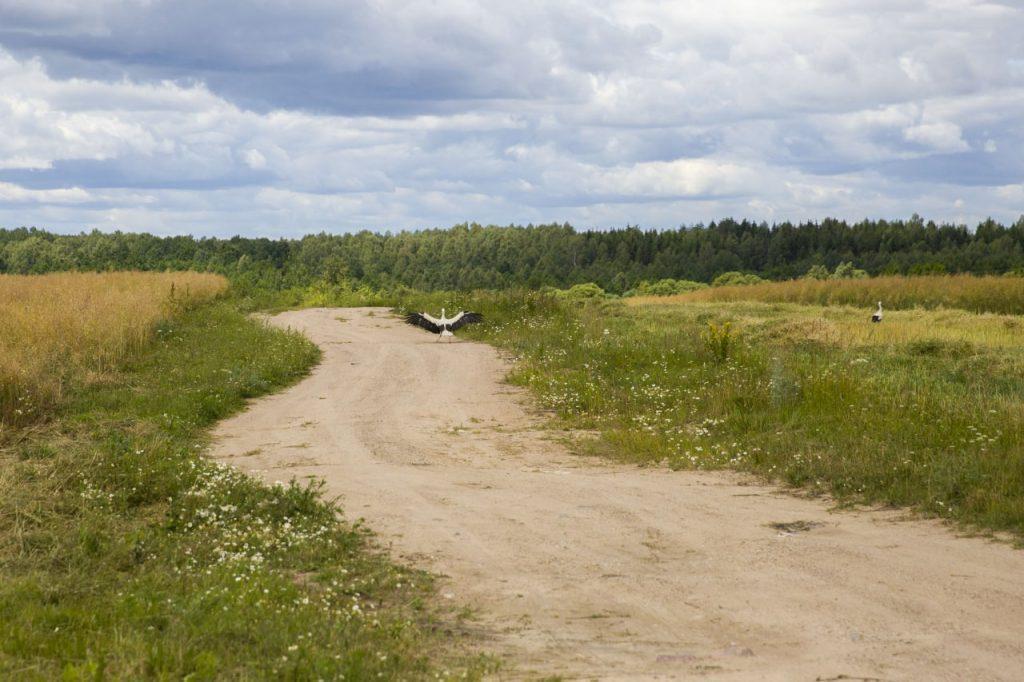 ФОТО ДНЯ: только вперед