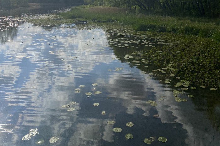 Водный туризм