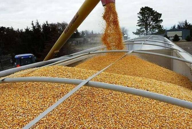 Россия и Украина обсудят в Турции вопросы по «зерновым коридорам»