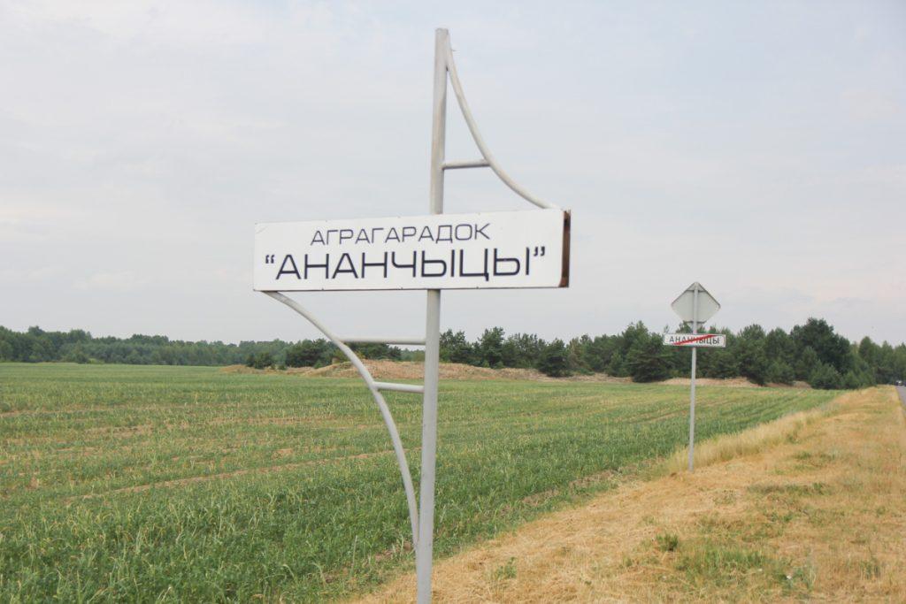 Ананчицы