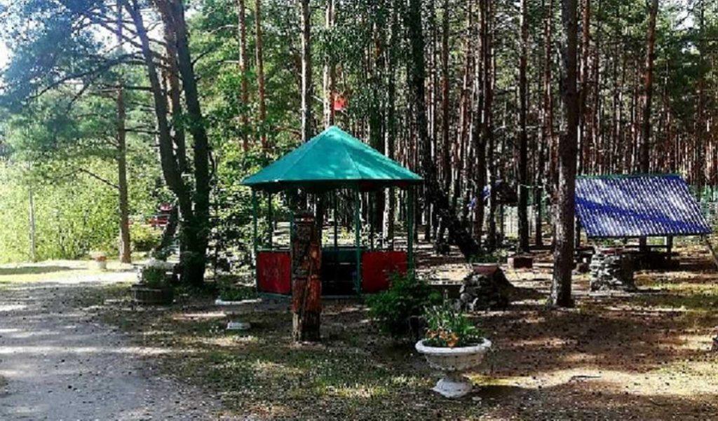 В Солигорском РОВД прокомментировали преступление с избиением сторожа в зоне отдыха