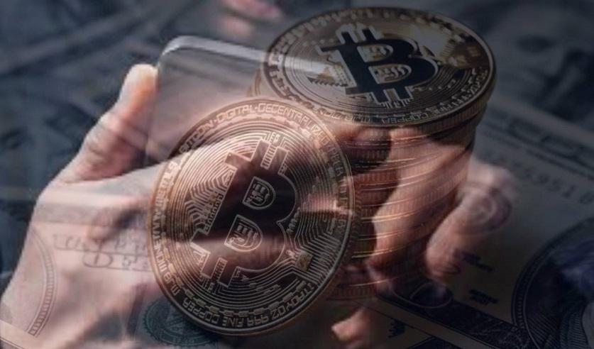 Международный розыск и более 9 млн «теневых» рублей — СК о подробностях расследования дела Bitok