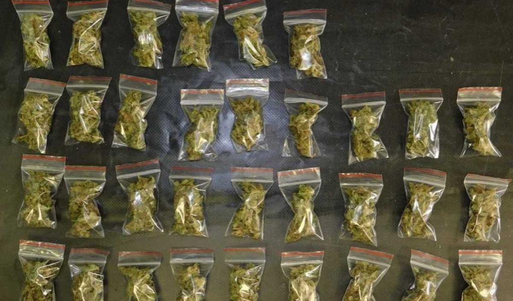 Житель Минского района дома обустроил оранжерею, где выращивал коноплю