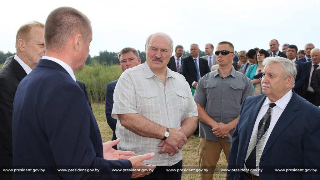 Свое подсолнечное масло может появиться в Беларуси. Задачу поставил Президент
