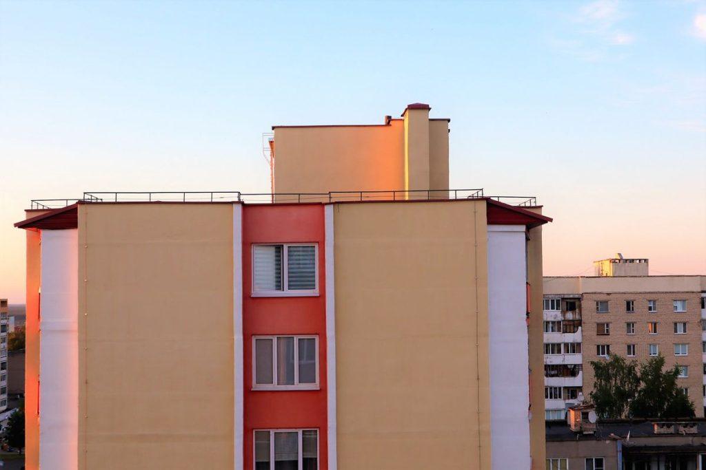 Птицы 5