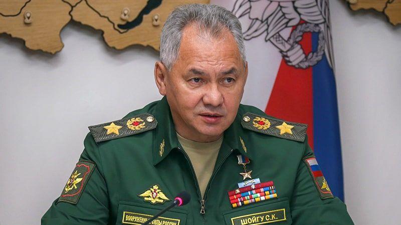 Нацистская политика. Шойгу прокомментировал запрет россиянам на въезд в ЕС