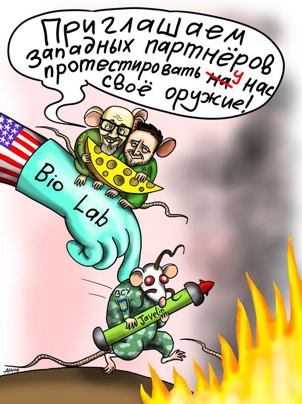 Подопытные мыши США