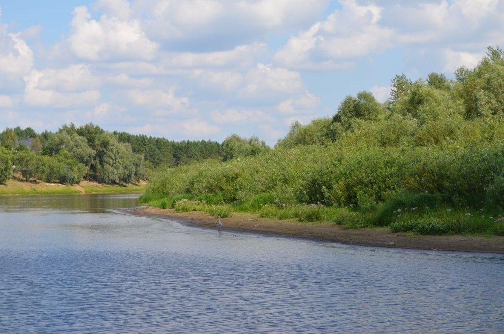 Лясковичи