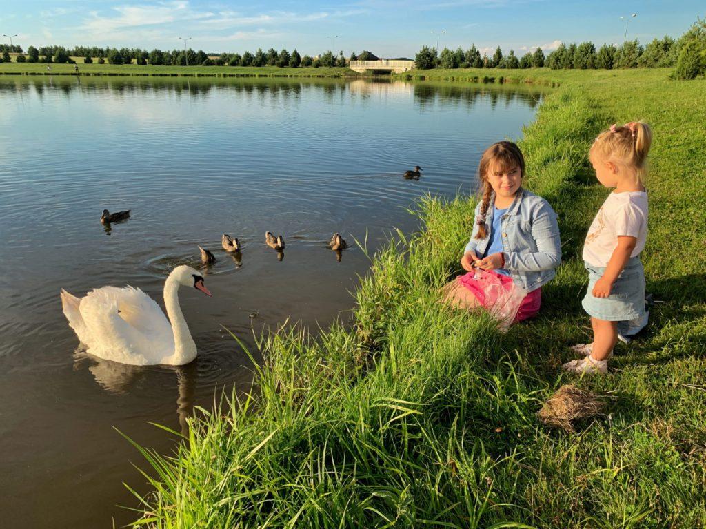 ФОТО ДНЯ: каждому по кусочку