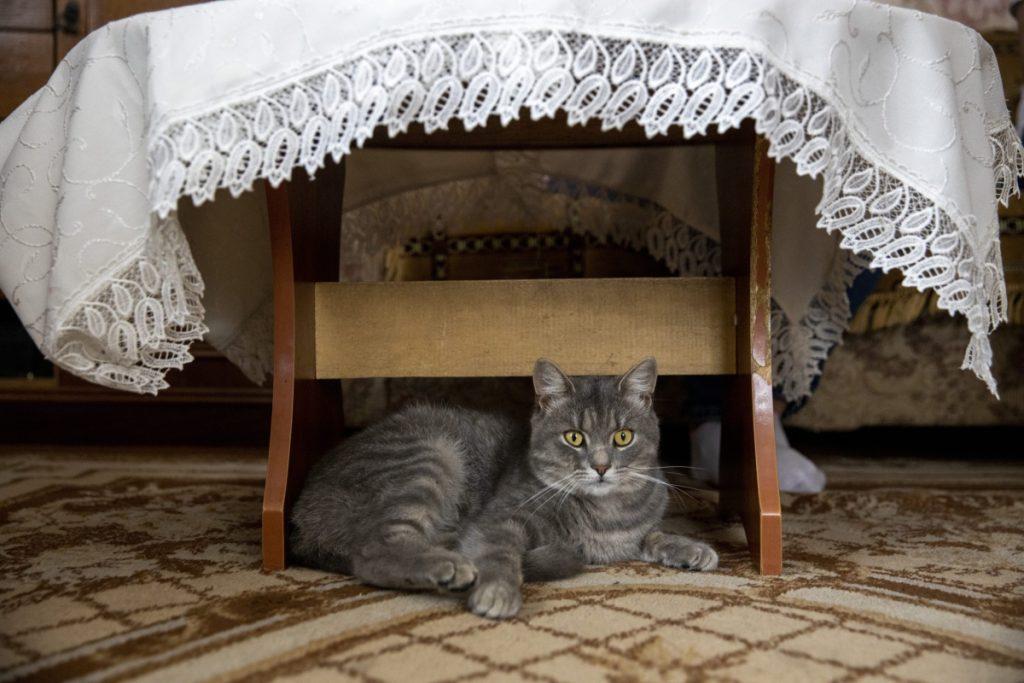 ФОТО ДНЯ: королева
