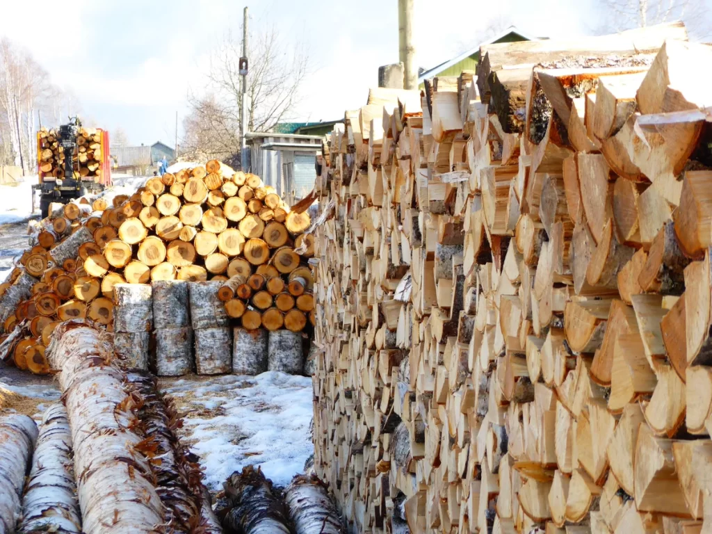 В Нидерландах жители массово закупают дрова на фоне подорожания газа