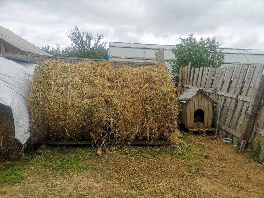Сено не заготовил, а решил украсть. Дело о пропаже 15 стогов раскрыли за сутки