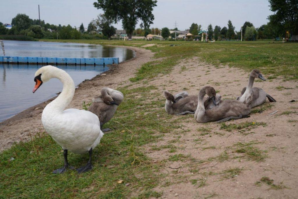 ФОТО ДНЯ: Семья