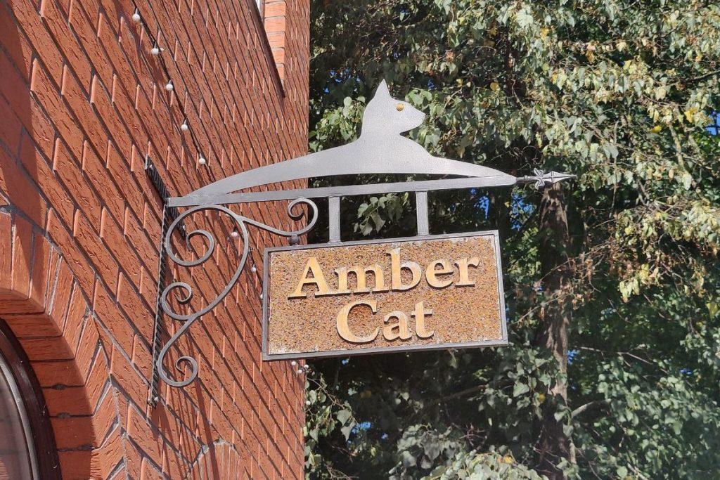 Коты Зеленоградск