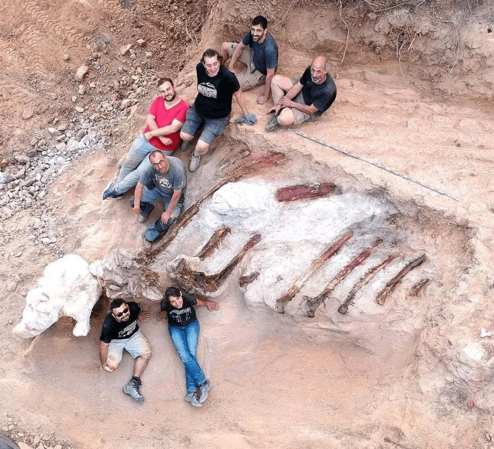 Археологи нашли останки динозавтра