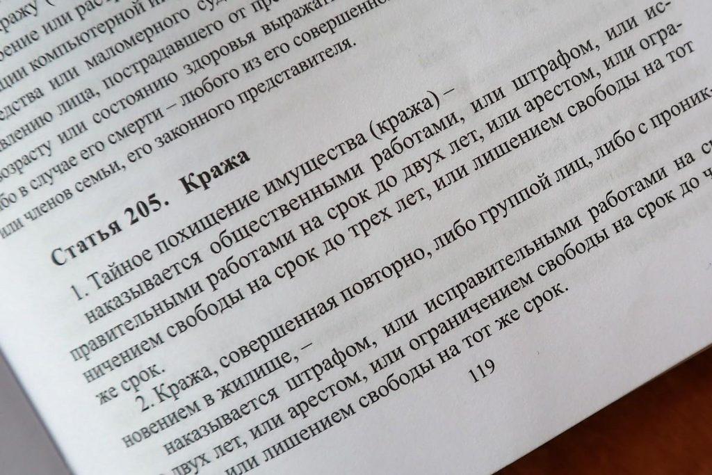 Статья 205 УК РБ
