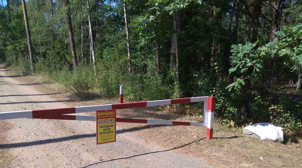 Карта посещения лесов «покраснела». В Минской области — полный запрет