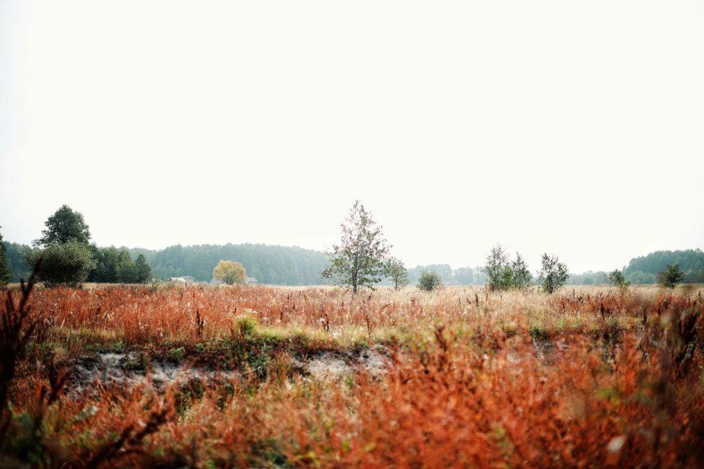 ФОТО ДНЯ: сырость