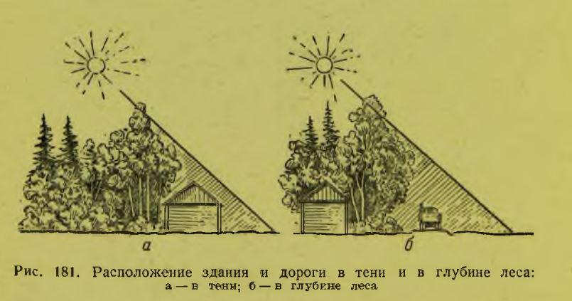 Обманки