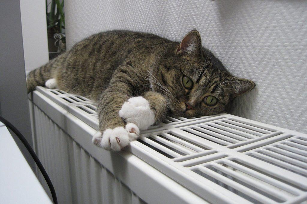 На Минщине начался отопительный сезон