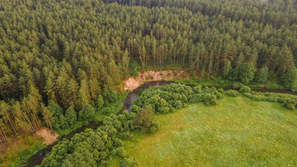 Съездить к зубрам, послушать волынку и освоить гончарное мастерство можно в Воложинском районе