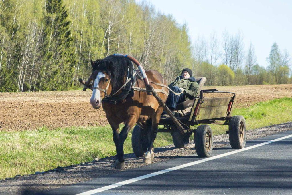 лошадь телега повозка