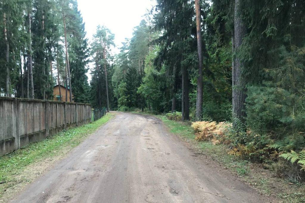 В Слуцком районе охотник застрелил собаку возле детского санатория — проводится проверка