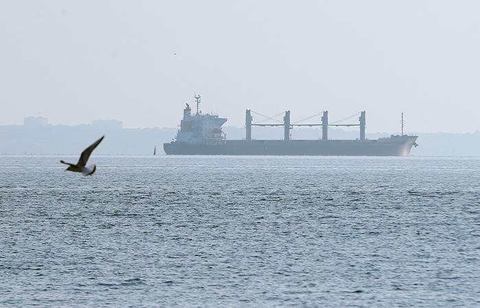 Движение судов по безопасному коридору в рамках зерновой сделки приостановлено — Минобороны РФ
