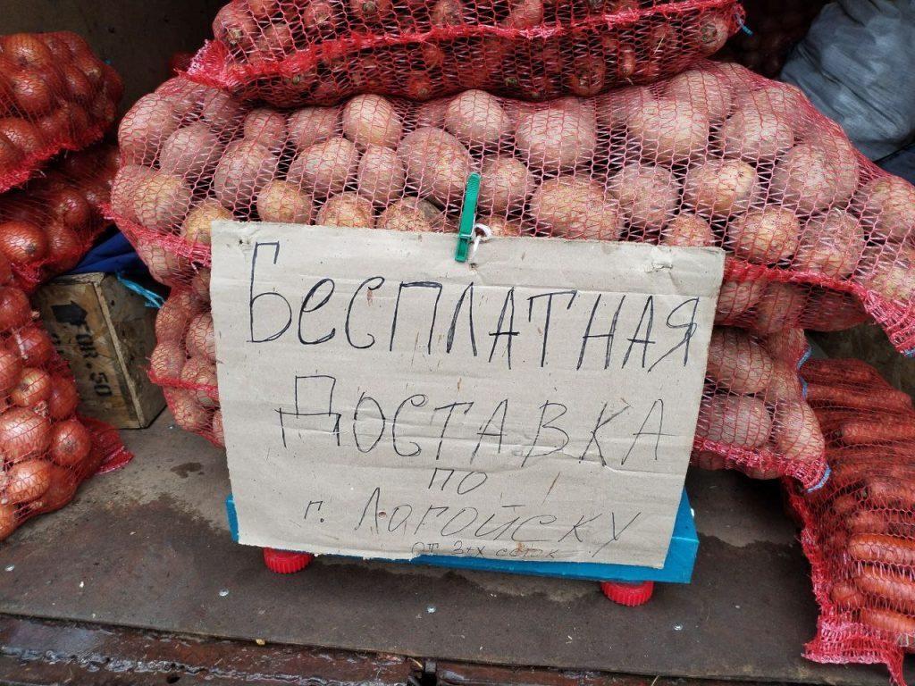 Картофель