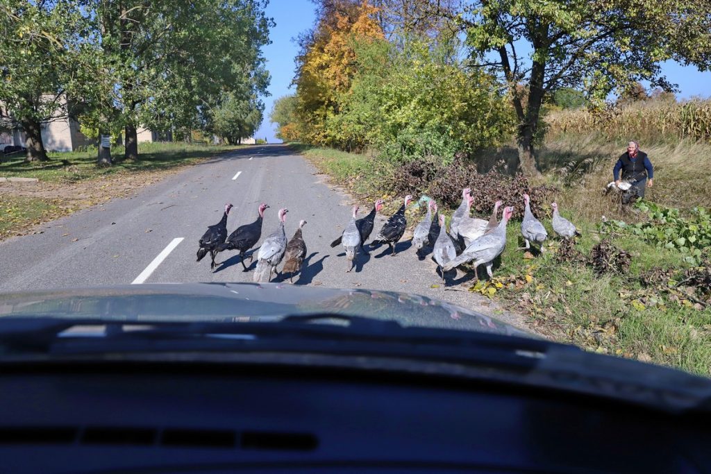 ФОТО ДНЯ: осторожно, пешеход!