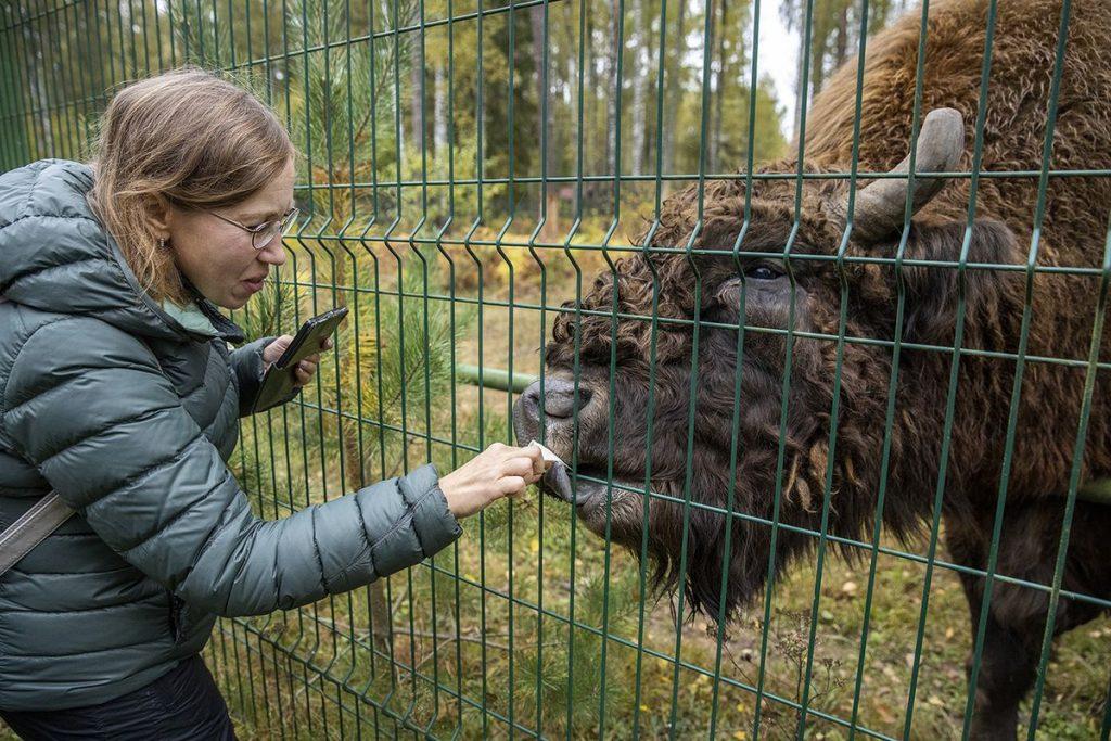 Березинский биосферный заповедник