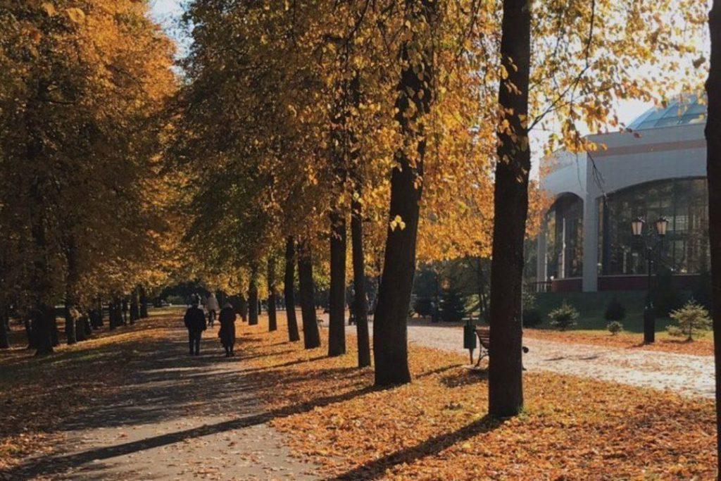ФОТО ДНЯ: в золоте