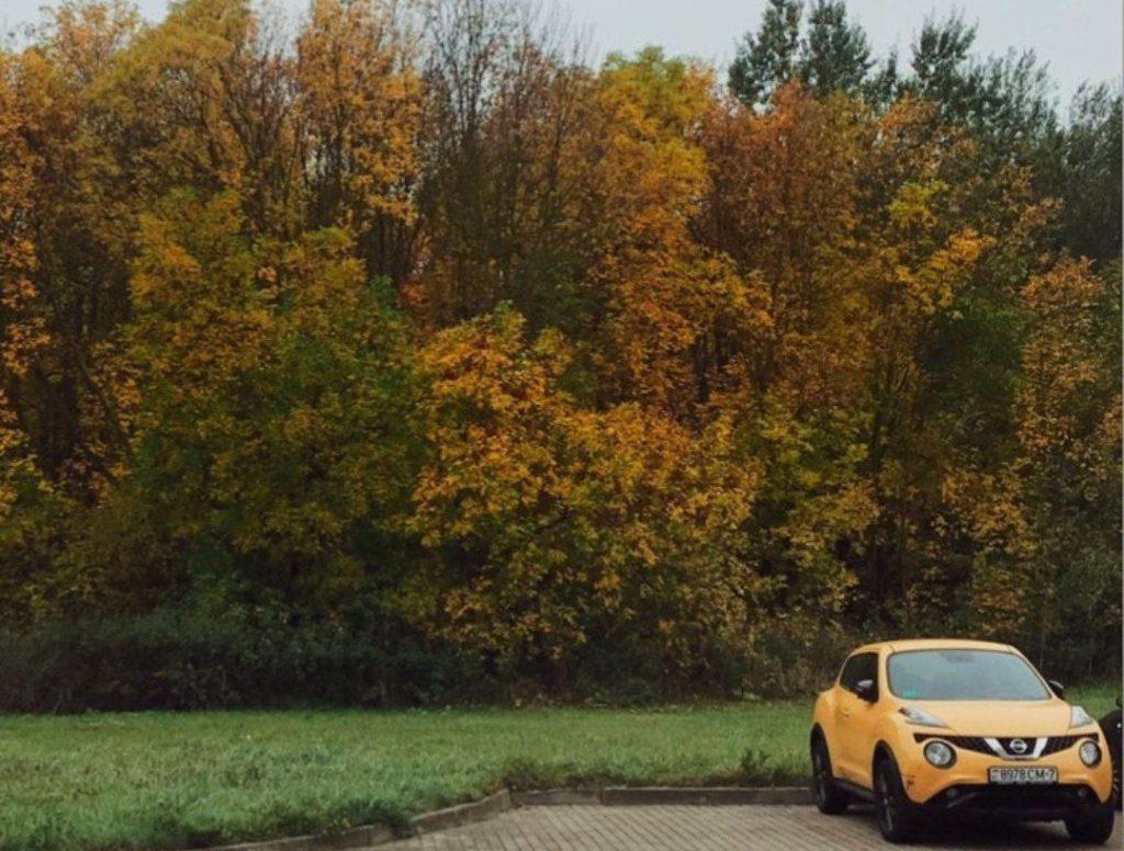 ФОТО ДНЯ: осенний автомобиль