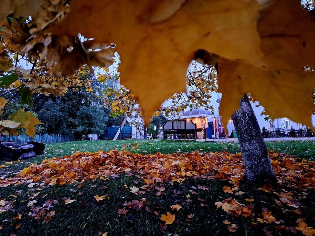 ФОТО ДНЯ: осенняя романтика