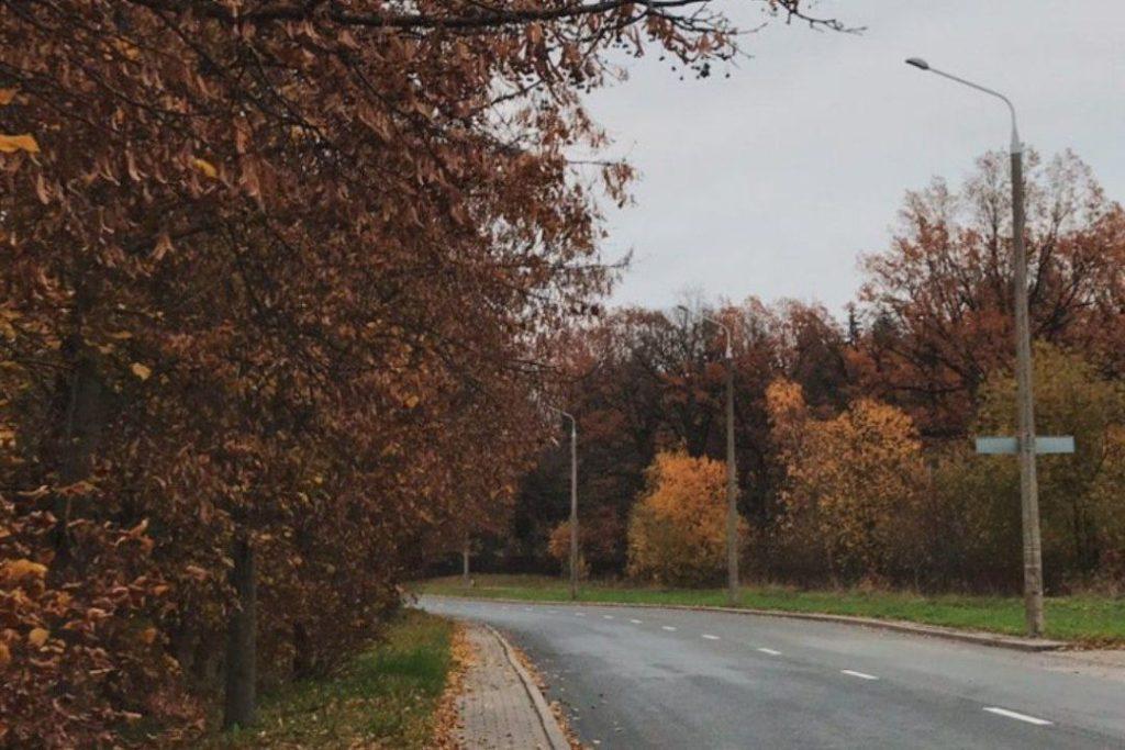 ФОТО ДНЯ: за поворотом