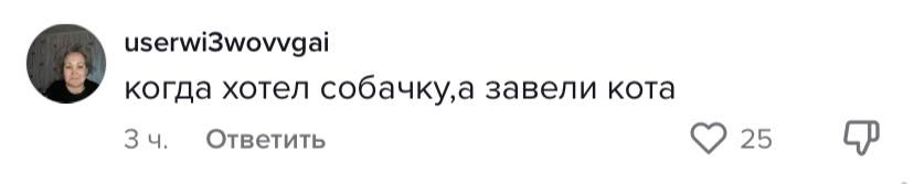 коммент