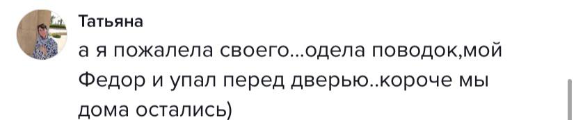 комментарий