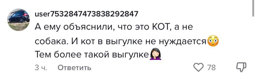 комментарий